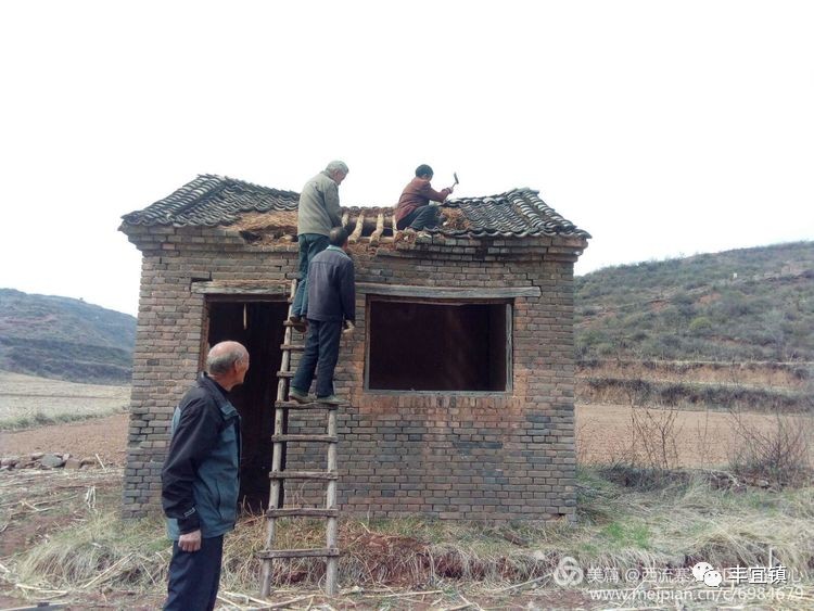 冯庄镇岳寨村人口_冯提莫男人装(2)