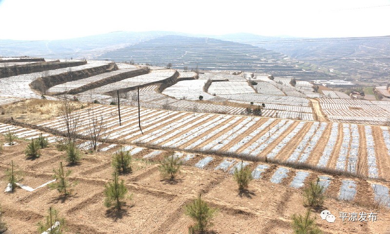 5万亩林果建设基地(阳湾山林果建设区域)庄浪县南坪乡1.