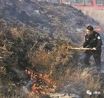 神木人口多少_129神木多少法伤合格