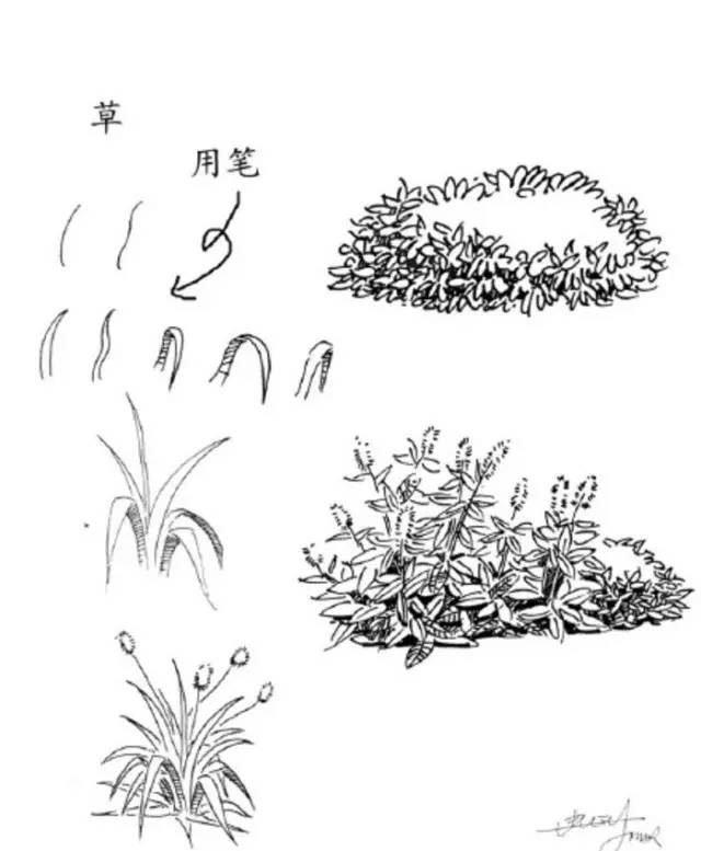 在速写里,花花草草是非常重要的组成部分,下面是一些简单的树木花草