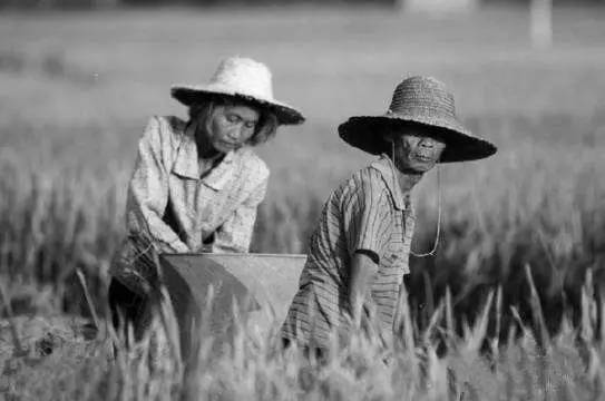 遂川失踪人口_遂川中学图片