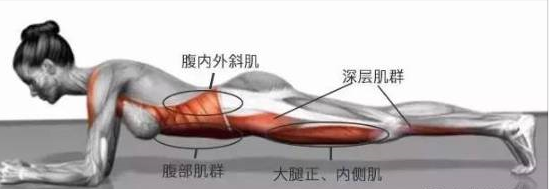 玩转平板支撑,居然还能矫正身姿?