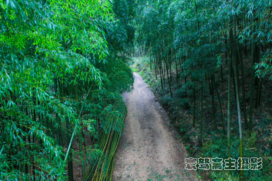 溪流淙淙，修竹丛丛，南山竹海就是你的心灵栖息地