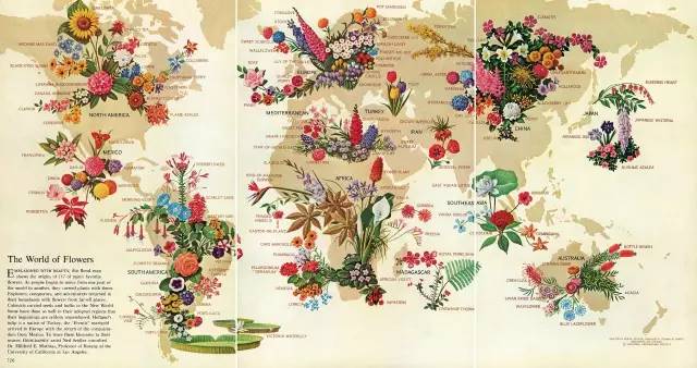 透过国家地理杂志的图表，看它128年来如何诠释世界