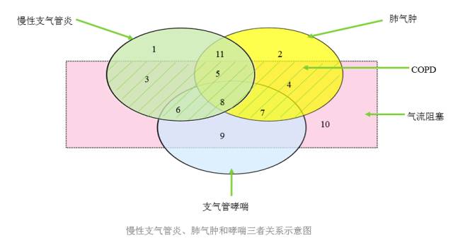 copd慢性支气管炎肺气肿你分的清吗