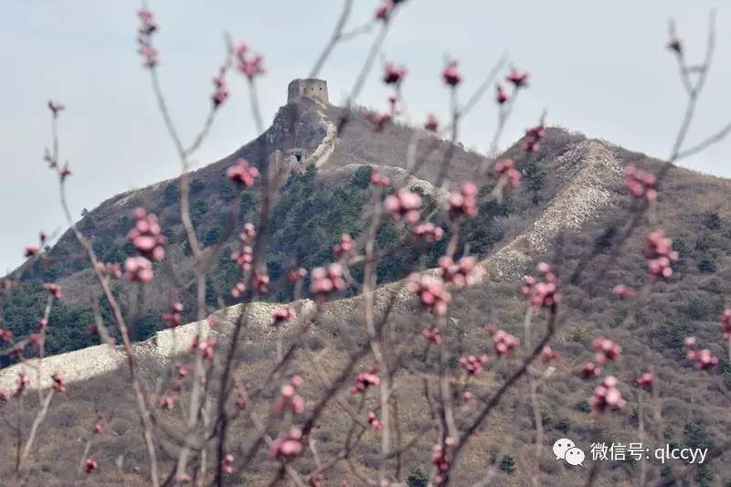 青龙县有多少人口_口里口外 ,不是青龙人根本比明白