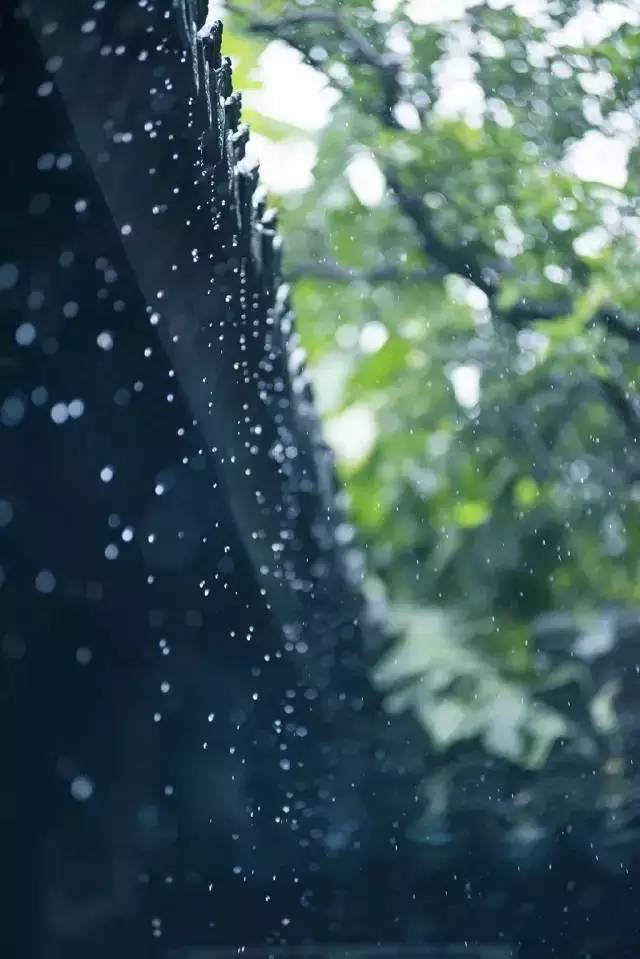 国韵国味诗中雨雨中情