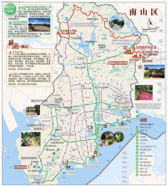 建议者 我们来看看深圳南山区的绿道地图
