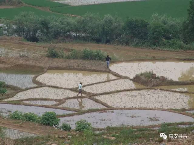 高安蓝坊铜湖人口多少_吉林有多少人口