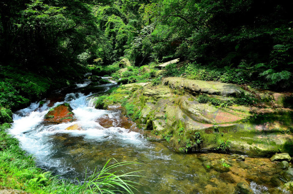 张家界自助游攻略告诉你,张家界什么季节风景