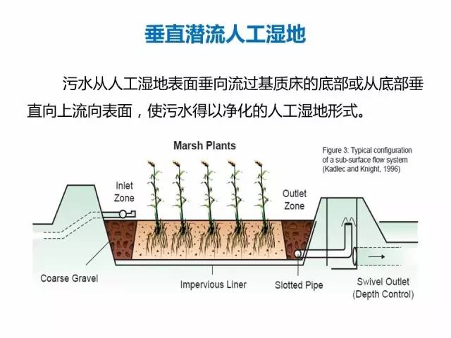 人工湿地技术