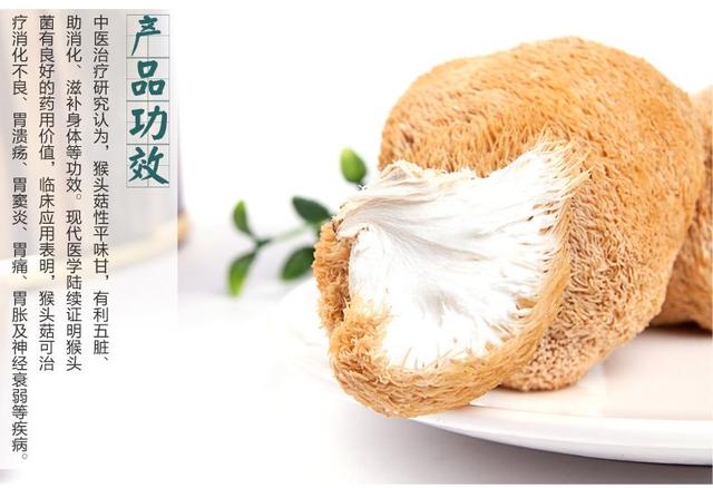 山中珍品-猴头菇在肿瘤患者的妙用!