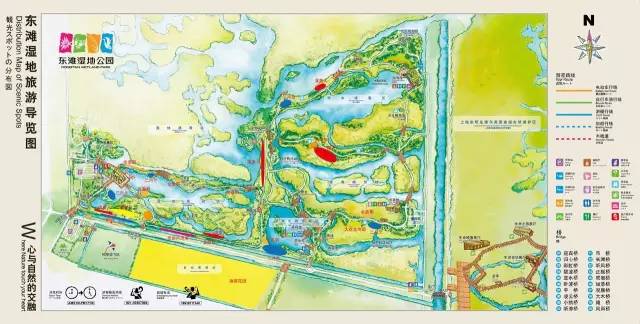 【出游提示】4月17日起东滩湿地公园每周一休园