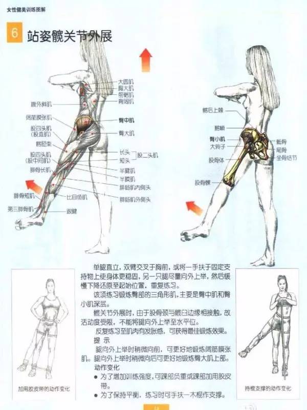 还可以给你20 的臀部训练方法 弓箭步类 跨距大主练臀大肌,跨距小股四