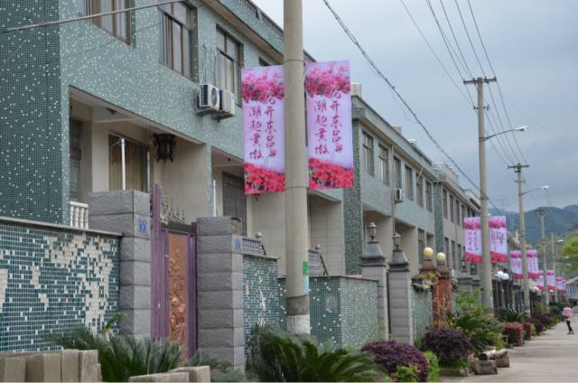 暨美丽庭院展示活动首届宁海桥头胡(东吕)杜鹃花节在这充满诗情画意的