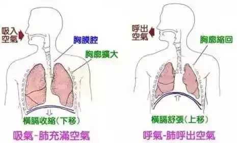 出岔气肋骨疼怎么办