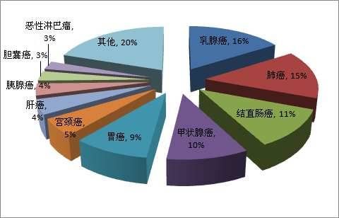 苏州人口年龄比例_苏州人平均结婚年龄比去年更晚 推迟为30.4岁