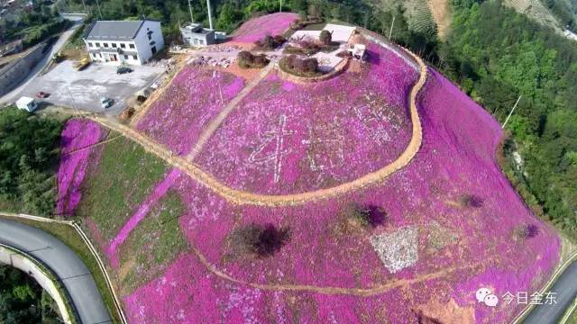 金屏人口_被全国压岁钱地图刷屏 金山人的吐槽实在太扎心