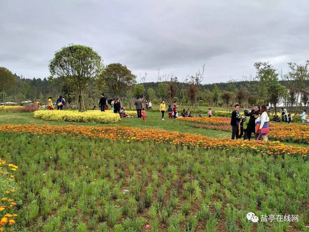 盐亭的这个地方越来越漂亮啦 中华龙凤谷一日游