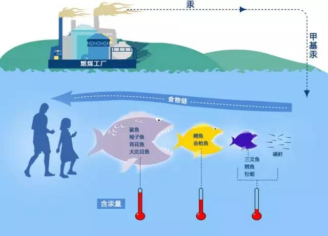 发电厂可以产生gdp嘛_生活垃圾产生的沼气发电之经济分析