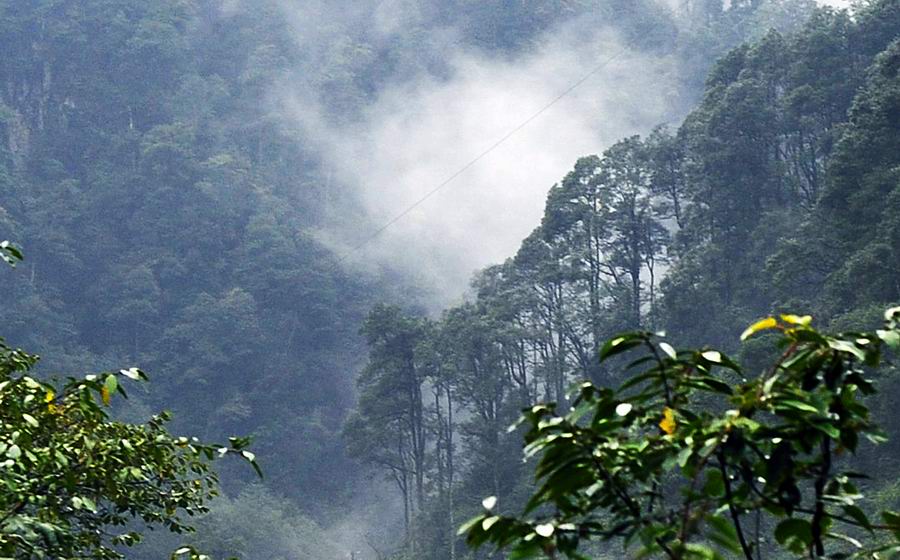 成都周边 雅安免费景点收录(一)天全县景点集锦