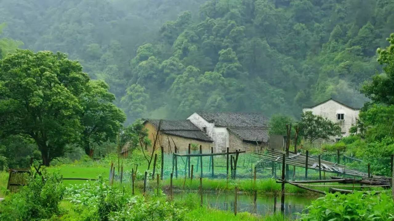 古田村深山农味|那一抹不去的乡愁,揉进舌尖上的衢味