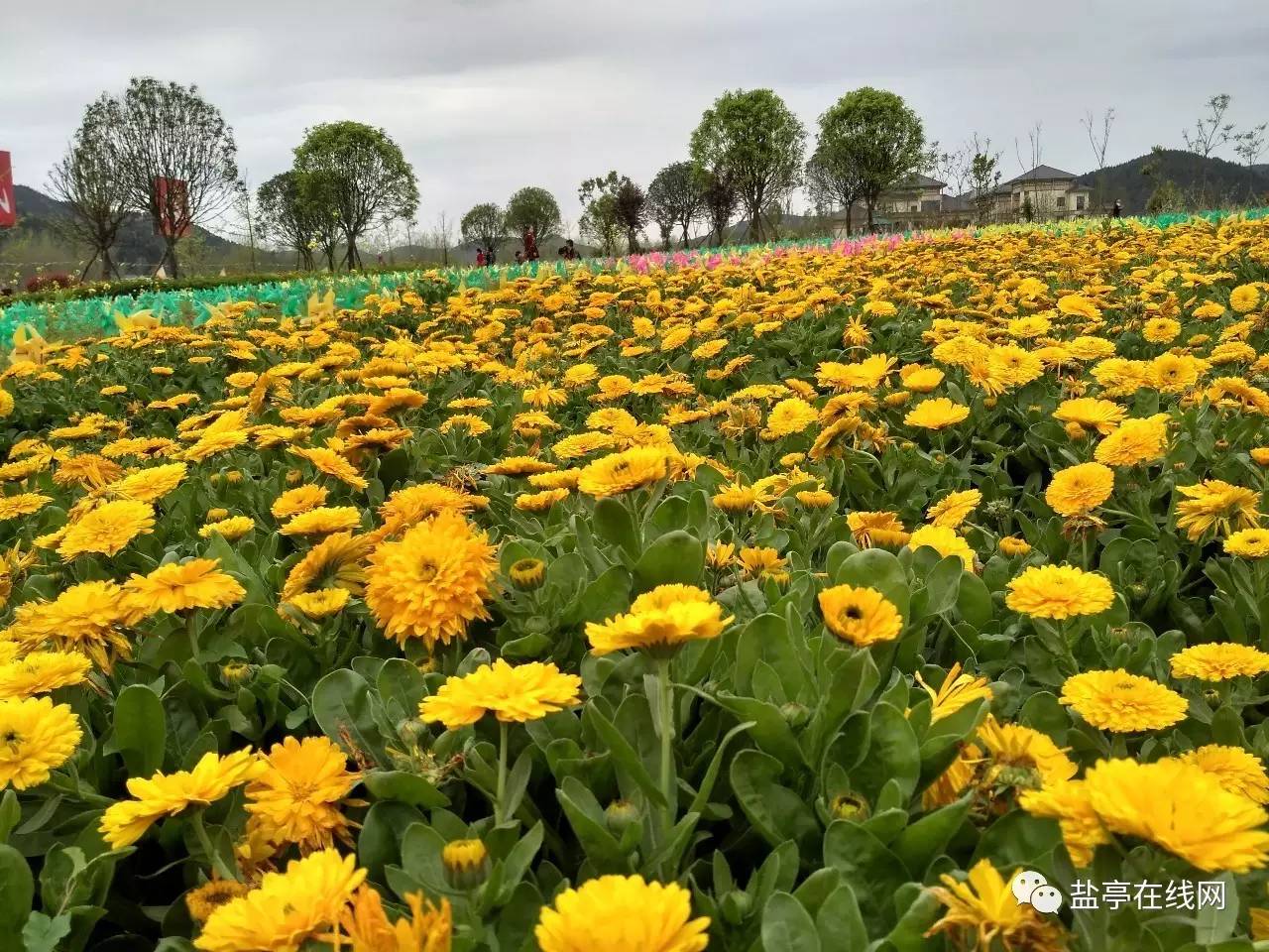 盐亭的这个地方越来越漂亮啦 中华龙凤谷一日游