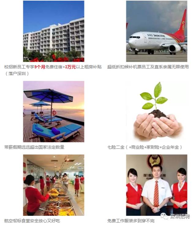 深航招聘_深圳招聘 男女不限 深圳航空储备客舱乘务员暨安全员 招聘启事 网申28日截止(2)