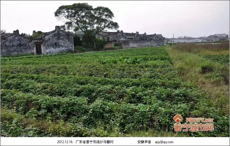 普宁村落:流沙马栅村