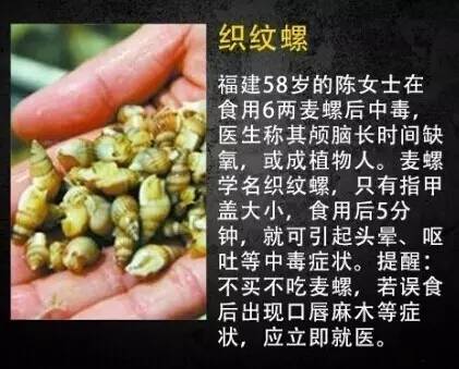 厦门人:你爱吃的这种螺有毒,一颗就可能毙命!