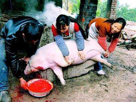 图为长沙市肉食水产公司,两个年轻的女职工现场表演杀猪