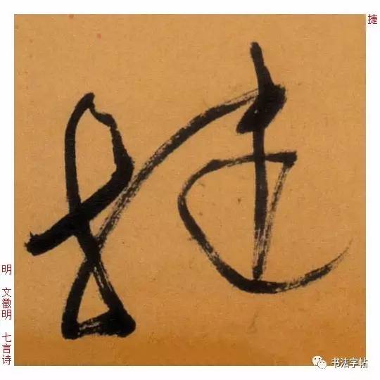 书法字帖    书法展