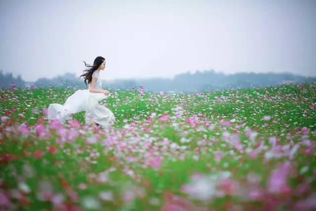 前方高能!3分钟学会在神农架花海里拍出"花仙子"的即视感