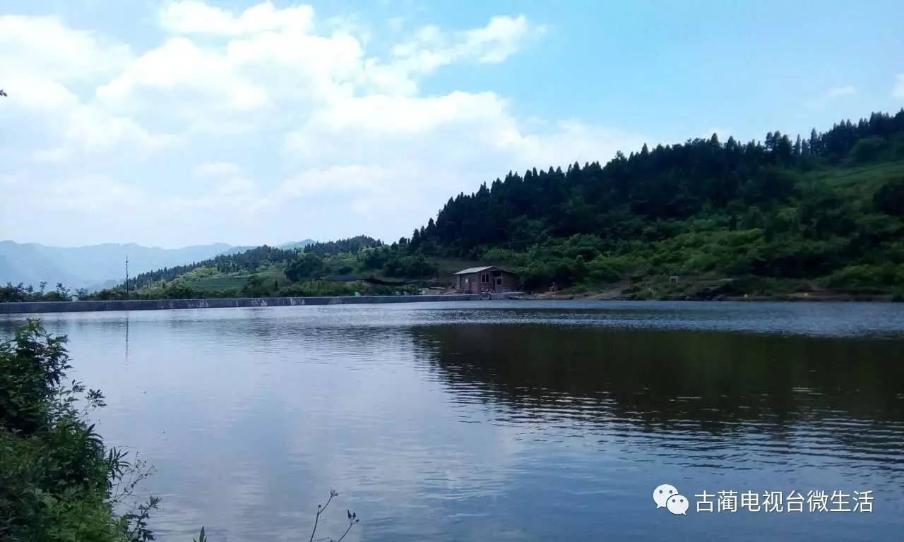 比赛地点:古蔺县古蔺镇流沙岩水库垂钓基地