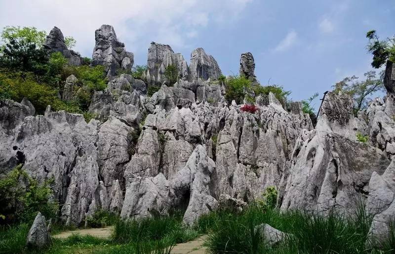 邻水县经济总量_邻水县地图