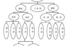 【首发推荐】计算机科学技术:基于领域本体树状结构的