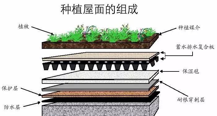 屋顶花园的防水构造做法