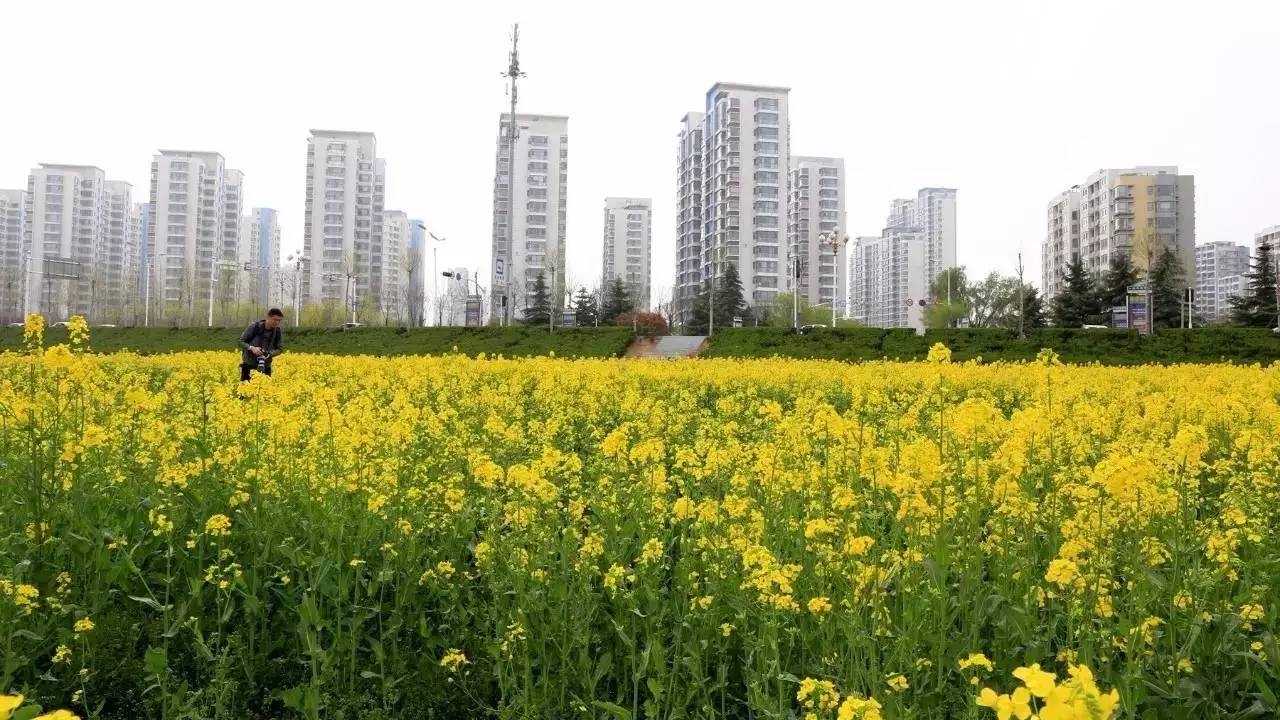 临沂罗庄区阳光车险怎么样 临沂阳光人寿保险