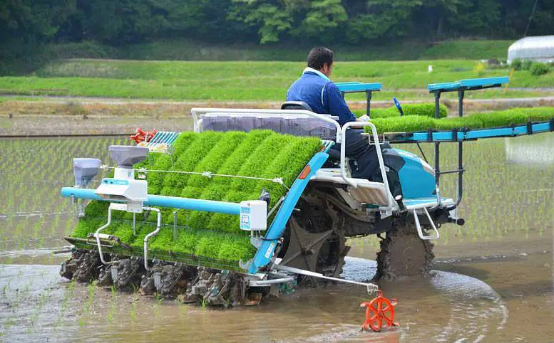 春耕时节,回宁乡老家耕地种田去!