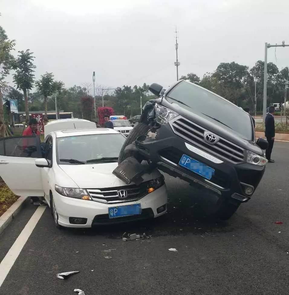 汽车 正文  一场意外的交通事故, 让市区龙源大道上的两辆小车成了"网