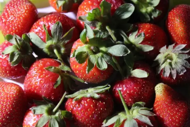 你真的了解草莓吗？