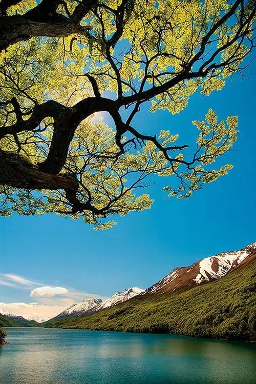 山野幽居简谱_说起杭州的烟雨朦胧,探得九溪一处山野幽居品另一番杭州滋味(2)