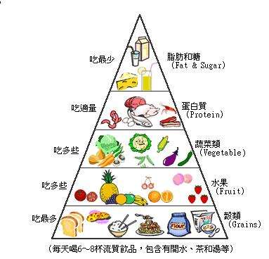 健康饮食的营养金字塔,你今天的饮食均衡吗