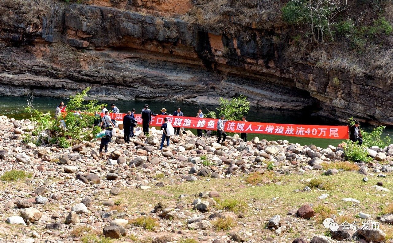 4月13日,会东县组织相关部门第四次向鲹鱼河投放鲹鱼苗共计40万尾,是