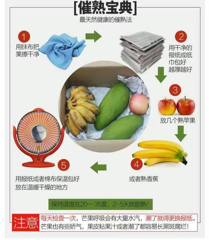 2,健康催熟: no1,天然乙烯催熟:把熟苹果和熟香蕉与芒果共同放在同一