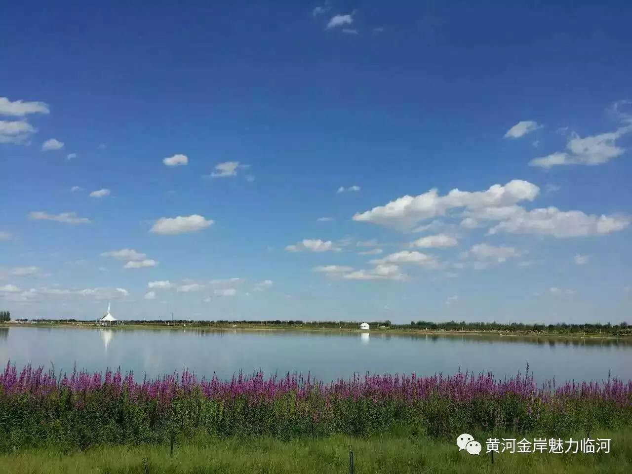 黄河湿地公园旅游景区位于巴彦淖尔市临河区南端,双河新区北侧,总占地