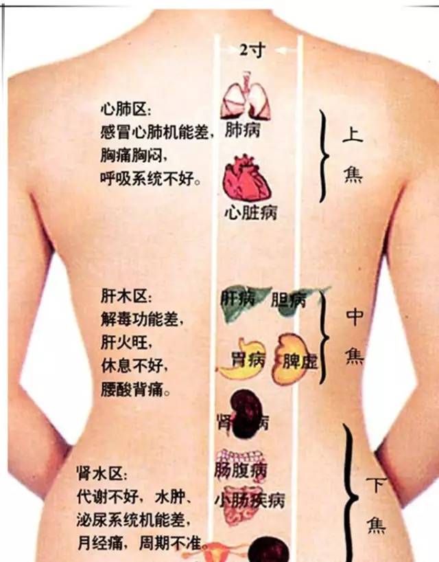 天路钢琴谱中国曲谱网(2)