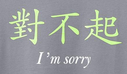 "对不起",简简单单的三个字, 幼儿园老师天天在教的三个字, 可很多