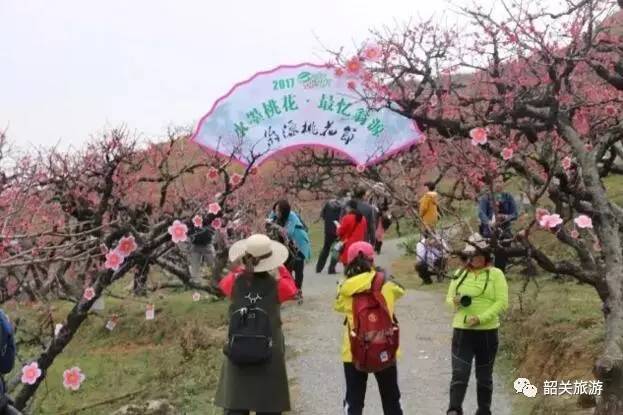 3,2017"水墨桃花·最忆翁源"桃花节