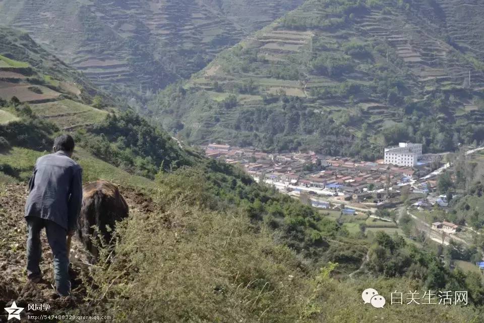 礼县人口_崇礼县英国留学中介加盟